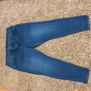 Women's 20W Kut from the Kloth Skinny Jeans